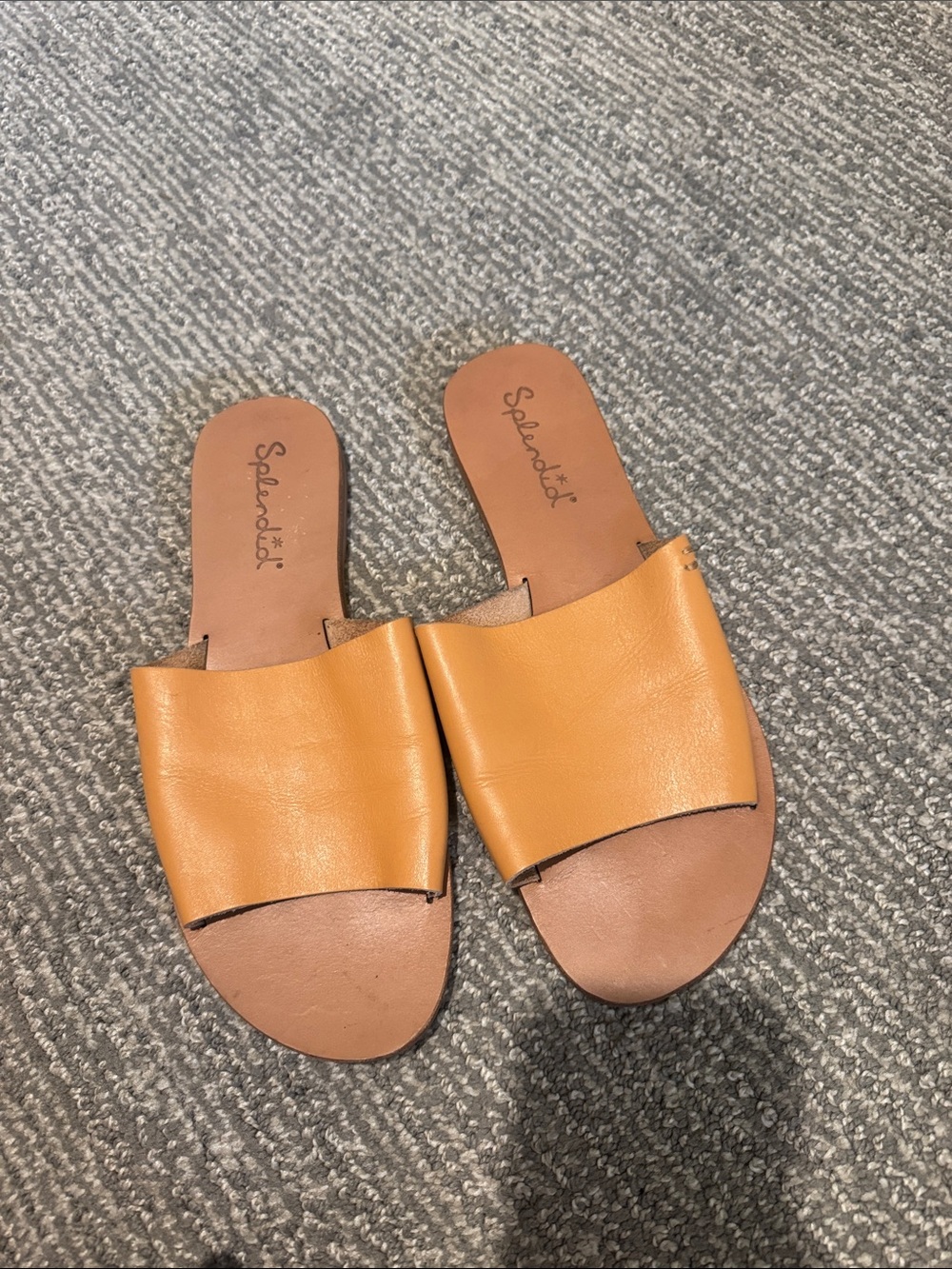 Splendid Leather Slide Mules in Tan-Cognac